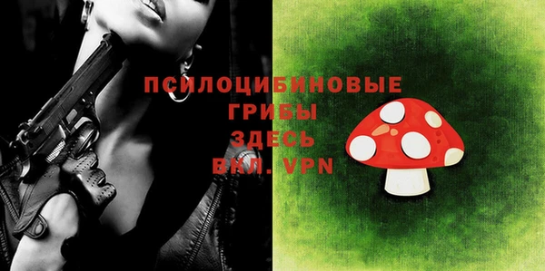эйфоретик Абинск