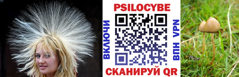 Галлюциногенные грибы Psilocybine cubensis Шумерля