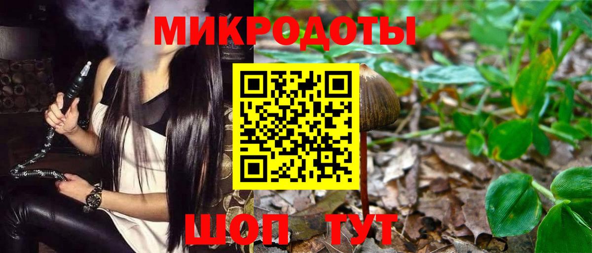 Шумерля  Галлюциногенные грибы мицелий  Галлюциногенные грибы GOLDEN TEACHER  Вход с VPN 