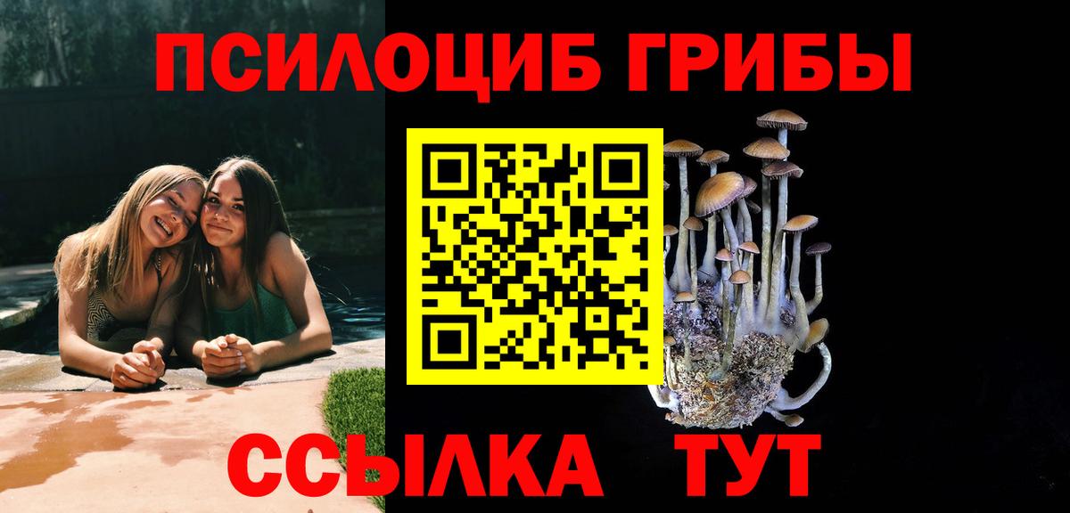 Псилоцибиновые грибы мицелий Шумерля